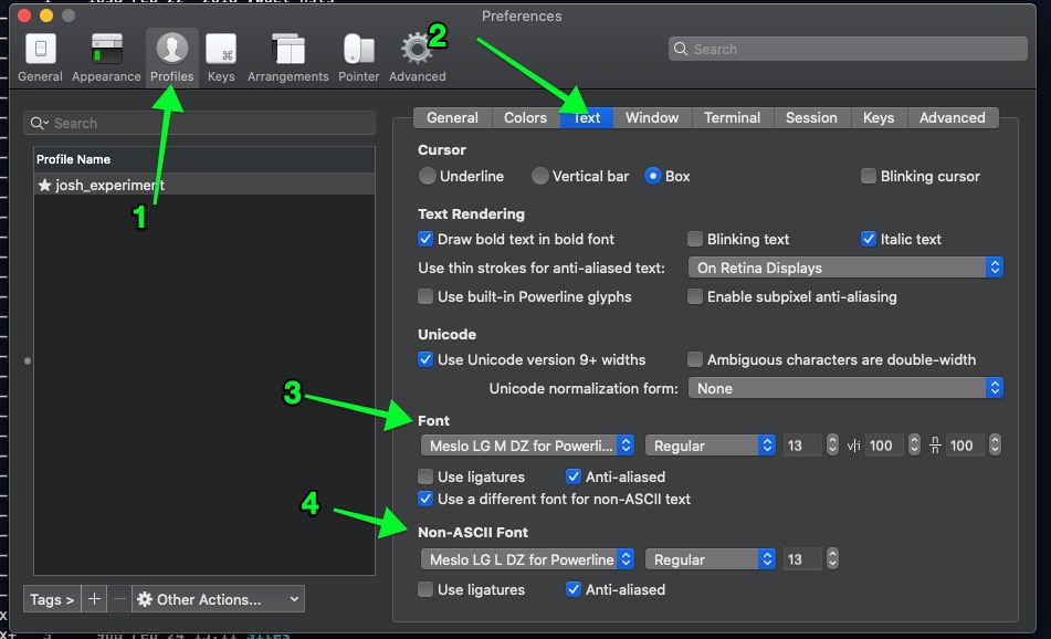 iterm settings